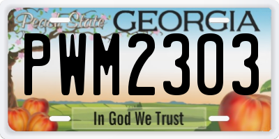 GA license plate PWM2303