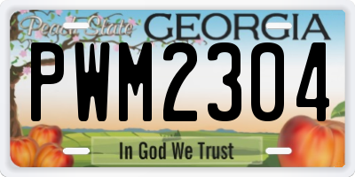 GA license plate PWM2304