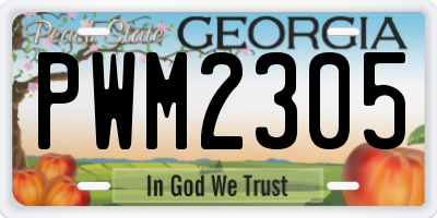 GA license plate PWM2305