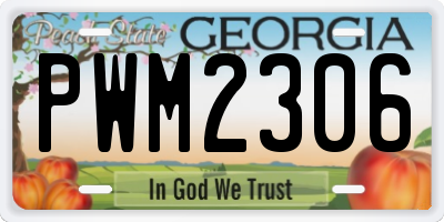 GA license plate PWM2306