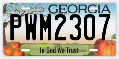 GA license plate PWM2307