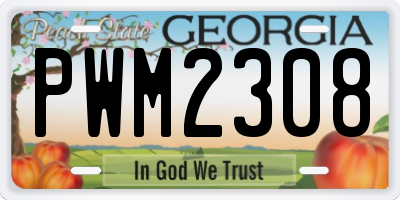 GA license plate PWM2308