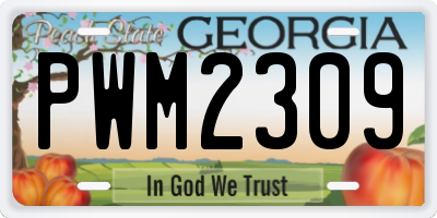 GA license plate PWM2309
