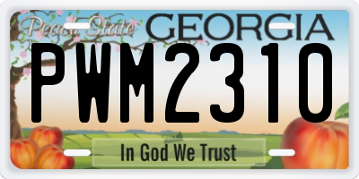 GA license plate PWM2310