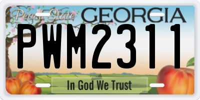 GA license plate PWM2311