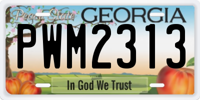 GA license plate PWM2313
