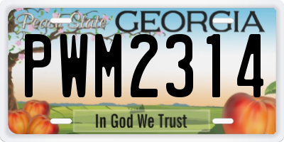 GA license plate PWM2314
