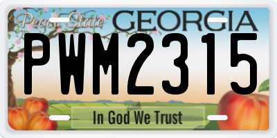 GA license plate PWM2315