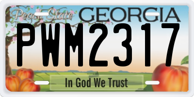 GA license plate PWM2317