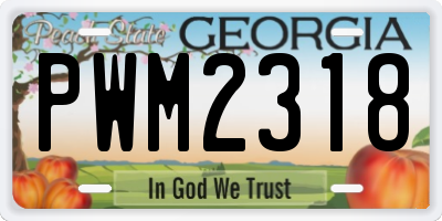 GA license plate PWM2318