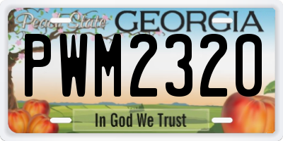GA license plate PWM2320