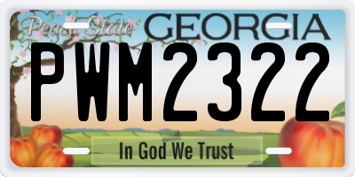 GA license plate PWM2322