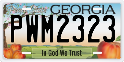 GA license plate PWM2323