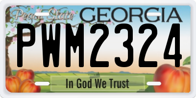 GA license plate PWM2324