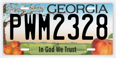 GA license plate PWM2328