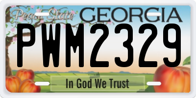 GA license plate PWM2329