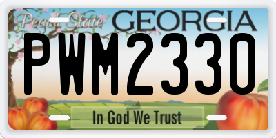 GA license plate PWM2330