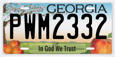 GA license plate PWM2332