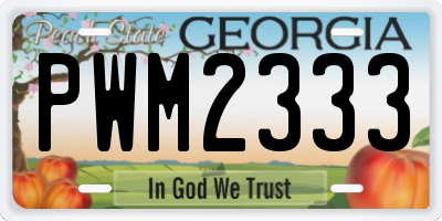 GA license plate PWM2333