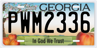 GA license plate PWM2336
