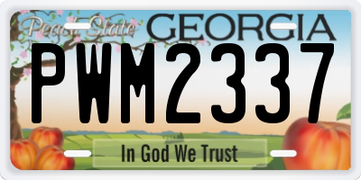 GA license plate PWM2337