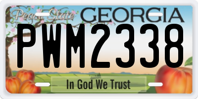 GA license plate PWM2338