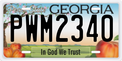 GA license plate PWM2340