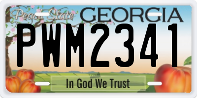 GA license plate PWM2341