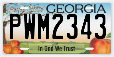 GA license plate PWM2343