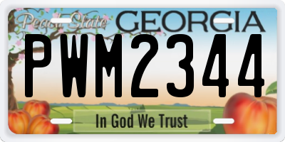 GA license plate PWM2344
