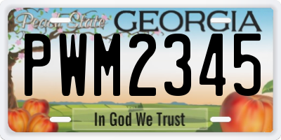GA license plate PWM2345