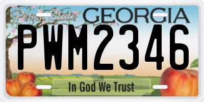 GA license plate PWM2346