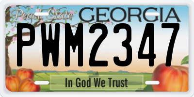 GA license plate PWM2347