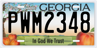 GA license plate PWM2348