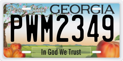 GA license plate PWM2349