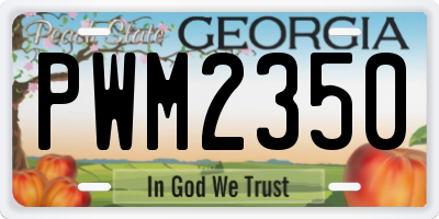 GA license plate PWM2350