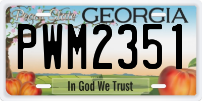 GA license plate PWM2351