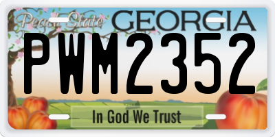 GA license plate PWM2352