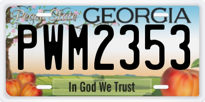 GA license plate PWM2353