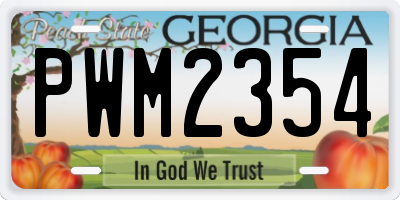 GA license plate PWM2354