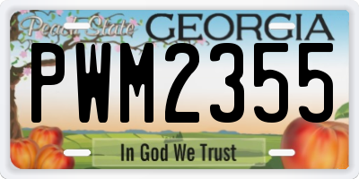 GA license plate PWM2355