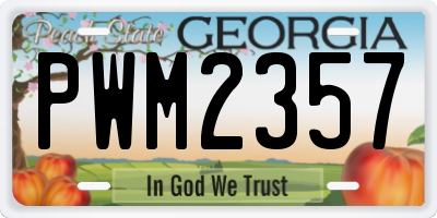 GA license plate PWM2357