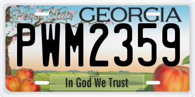 GA license plate PWM2359