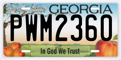 GA license plate PWM2360