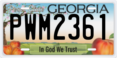 GA license plate PWM2361