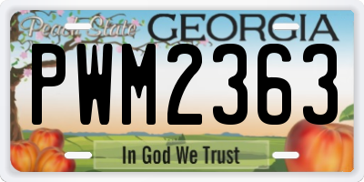 GA license plate PWM2363