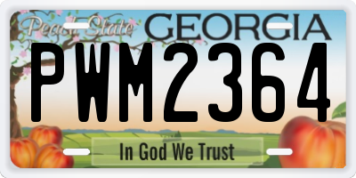 GA license plate PWM2364
