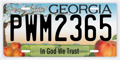 GA license plate PWM2365