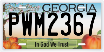 GA license plate PWM2367