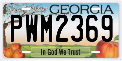 GA license plate PWM2369